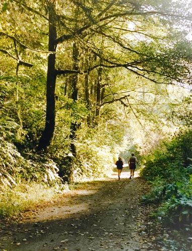 joggers in russian gulch photo by Garth Hagerman